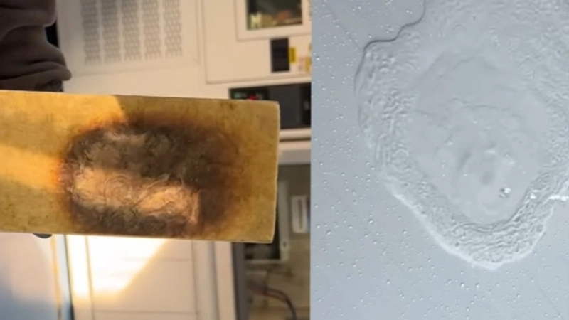 الخيار الأفضل للبناء الصناعي!