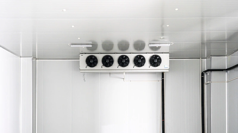 cold chain and logistics 2